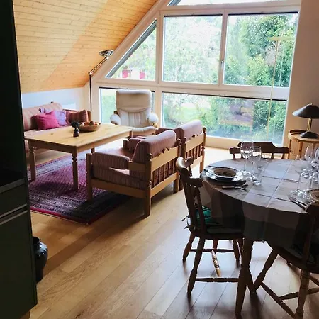 Jizerka Apartament *